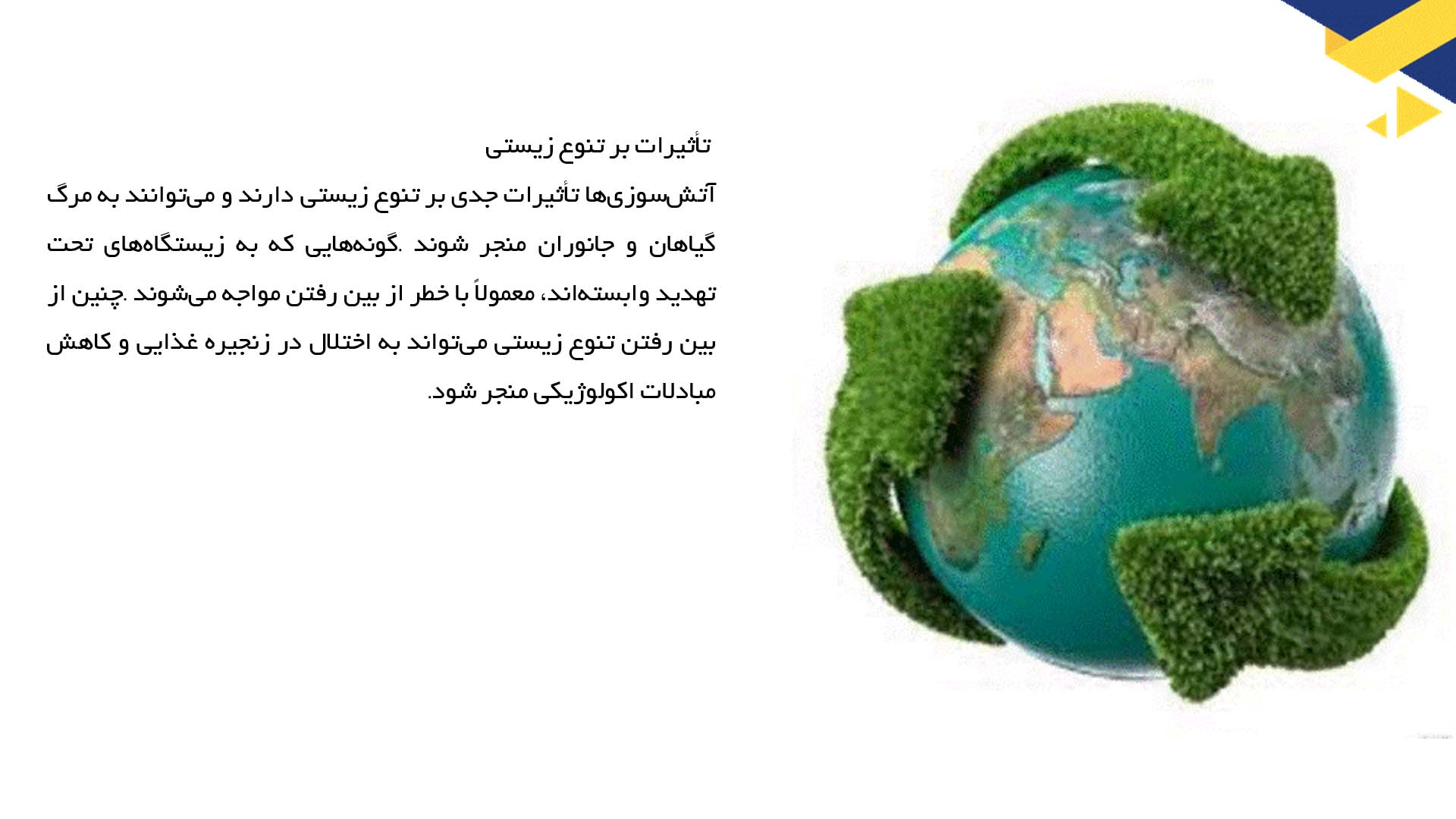 پاورپوینت در مورد تأثیرات آتش‌سوزی در جنگل‌ها